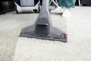 Carpet Cleaning Services