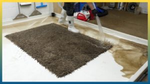 Carpet Cleaning