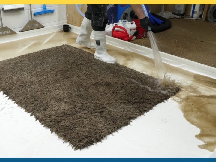 How to Keep Your Carpets Clean