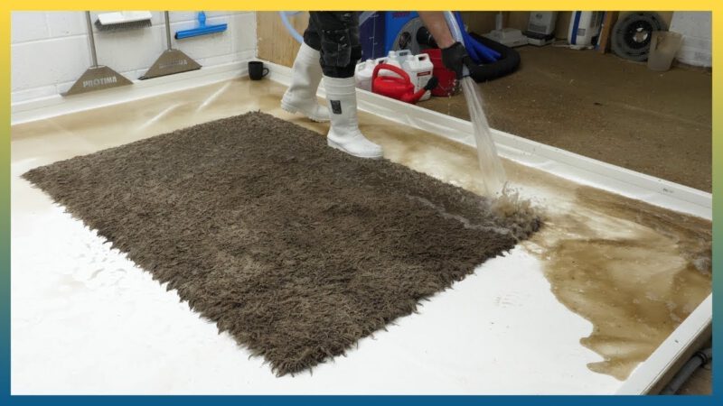 How to Keep Your Carpets Clean